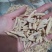 麦冬山东麦冬精品药材