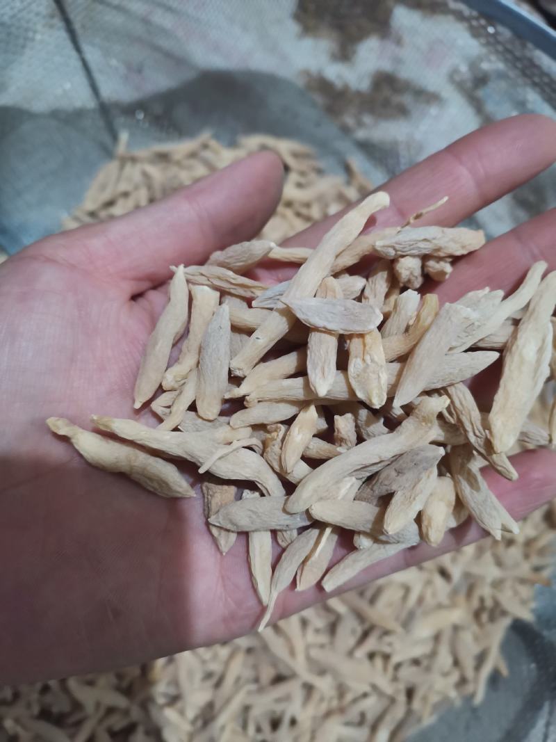 麦冬山东麦冬精品药材