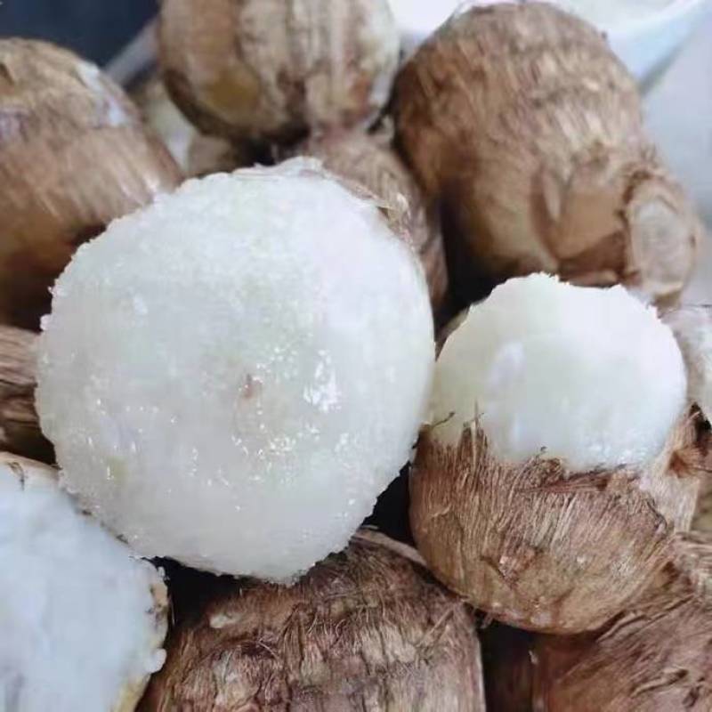 芋头8520.豆包，工人分捡大中小各种规格，好通货都有。