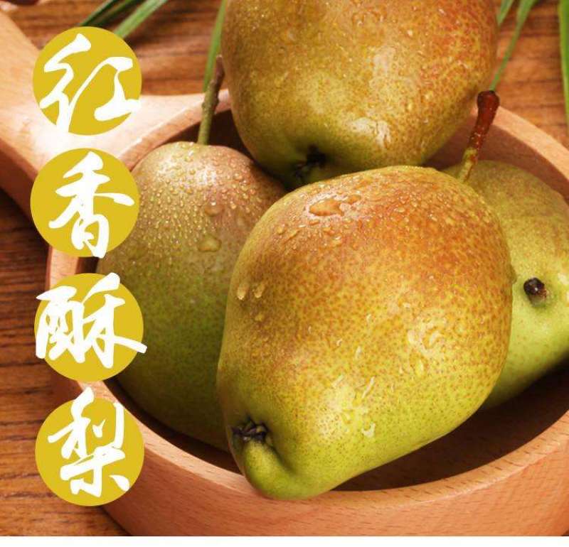 【好货】陕西渭南红香酥梨冷库红香酥梨一手货产地直供
