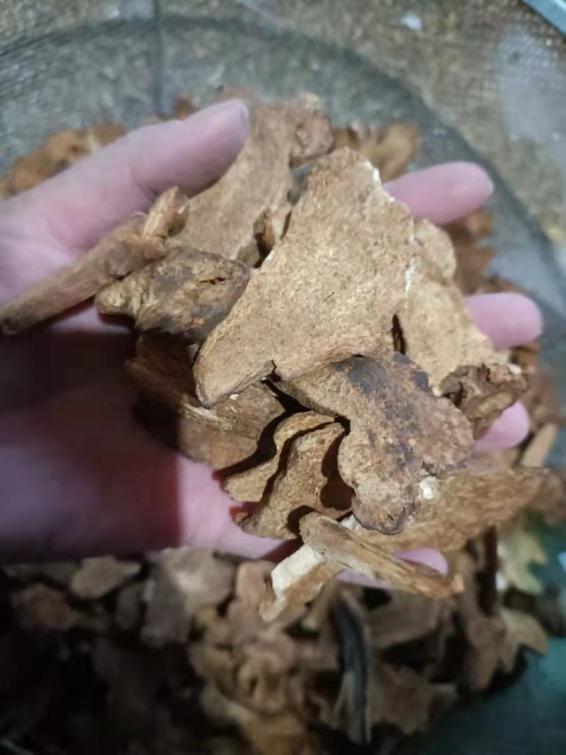 【诺一药材】炒白术精品药材可视频看货