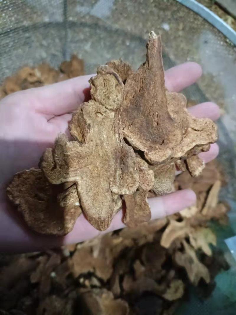 【诺一药材】炒白术精品药材可视频看货