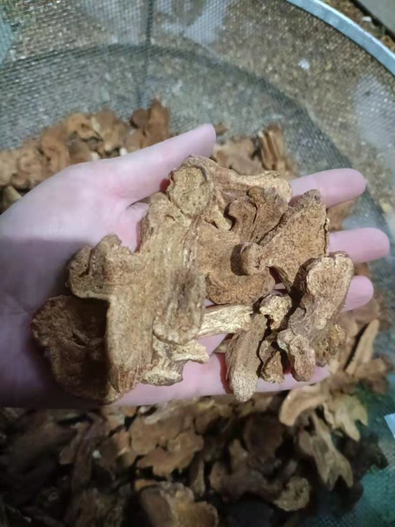 【诺一药材】炒白术精品药材可视频看货