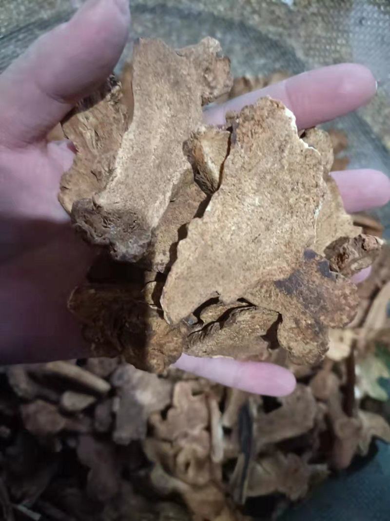 【诺一药材】炒白术精品药材可视频看货