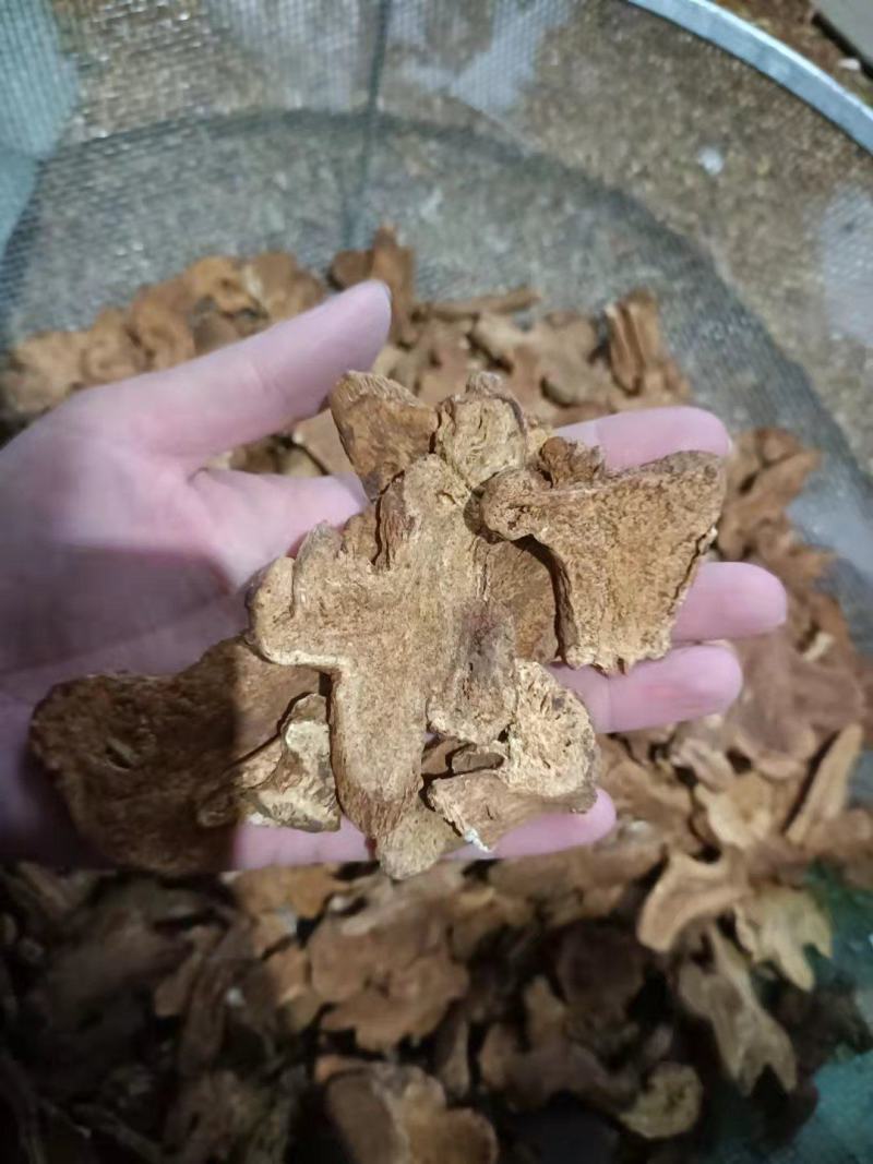 【诺一药材】炒白术精品药材可视频看货