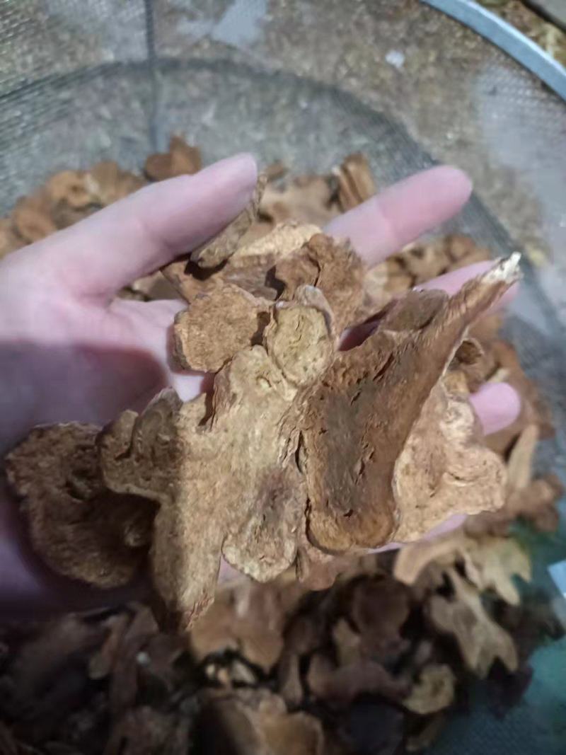 【诺一药材】炒白术精品药材可视频看货