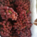 【推荐】陕西红提雨棚红提葡萄颗粒大果粉好产地直供