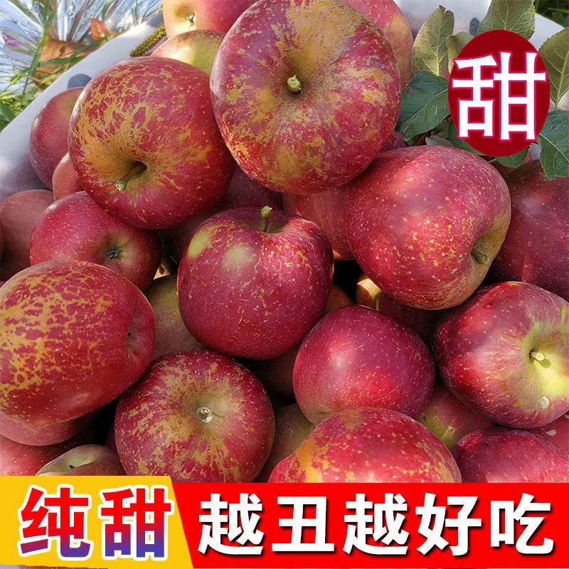 云南昭通丑苹果，红富士苹果