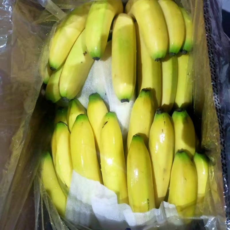 香蕉