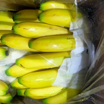 香蕉