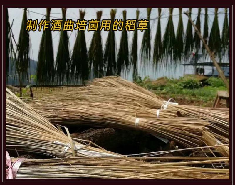 2026新曲土酒曲甜酒曲米酒曲酒饼药酒醪糟小曲子月子酒