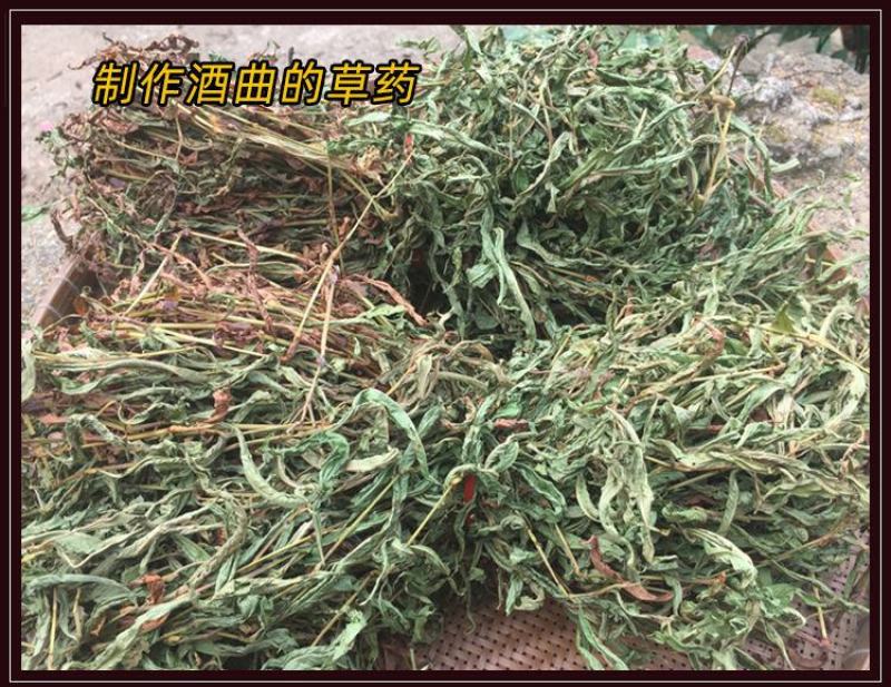 2026新曲土酒曲甜酒曲米酒曲酒饼药酒醪糟小曲子月子酒