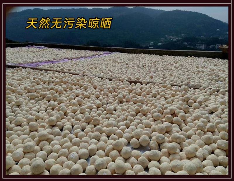 2026新曲土酒曲甜酒曲米酒曲酒饼药酒醪糟小曲子月子酒
