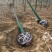 栾树供应各种规格的南栾树河南货源黄山栾树基地