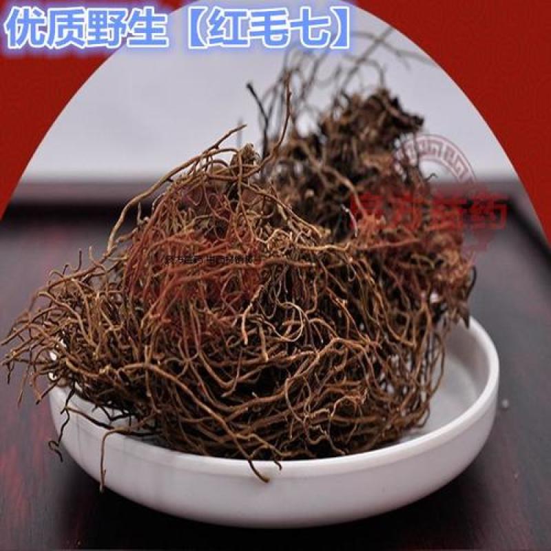 红毛七，正品野生红毛七质量保证经营各种中药材欢迎咨询合作