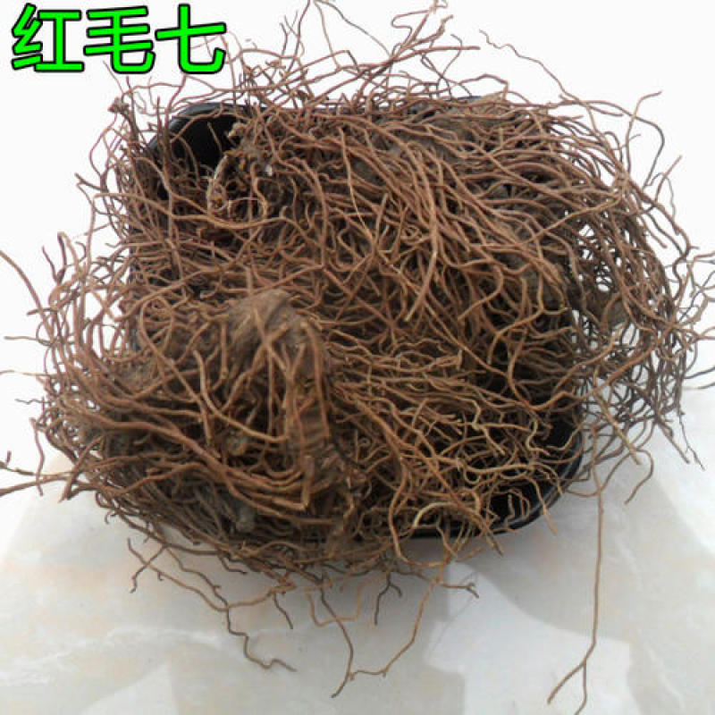 红毛七，正品野生红毛七质量保证经营各种中药材欢迎咨询合作