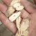 乌骨藤，正品乌骨藤质量保证，经营各种中药材欢迎咨询合作