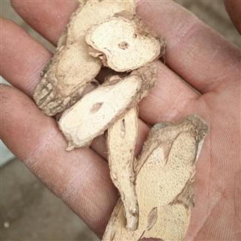 乌骨藤，正品乌骨藤质量保证，经营各种中药材欢迎咨询合作