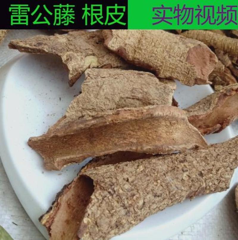 雷公藤皮，紫金皮质量保证，经营各种中药材欢迎咨询合作！
