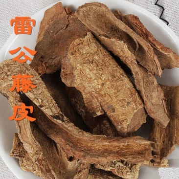 雷公藤皮，紫金皮质量保证，经营各种中药材欢迎咨询合作！
