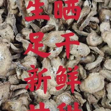 牛蒡根、本地货、生晒、清香甜一手货源、大量批发、包邮
