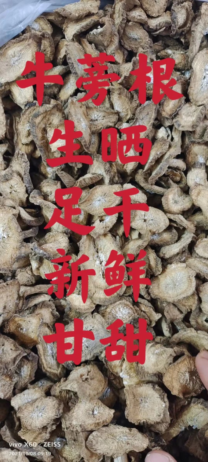 牛蒡根、本地货、生晒、清香甜一手货源、大量批发、包邮