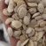 桃仁，家桃仁大量现货1000g起批关书药业品质好