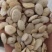桃仁，家桃仁大量现货1000g起批关书药业品质好
