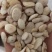 桃仁，家桃仁大量现货1000g起批关书药业品质好