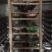 优质小白鼠种出售，可送货上门，欢迎大家关注联系我。