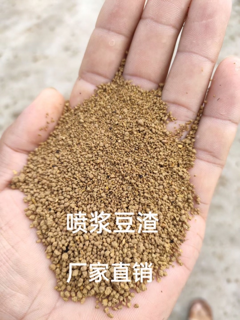 【热销】喷浆豆渣蛋白45水分12可以代替高价原料填加