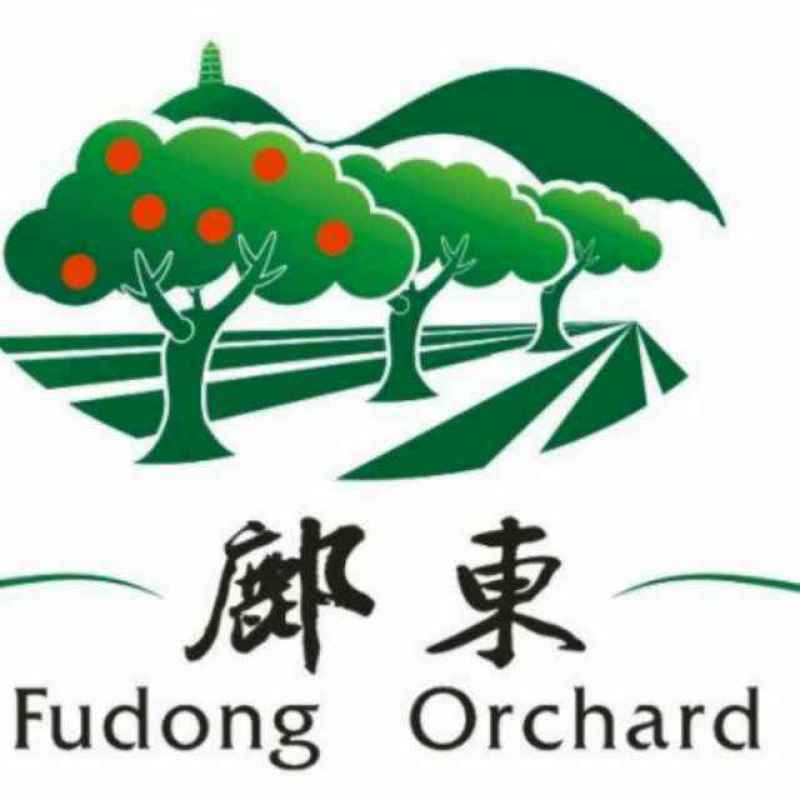 陕西延安优质红富士产地富县品牌供货商