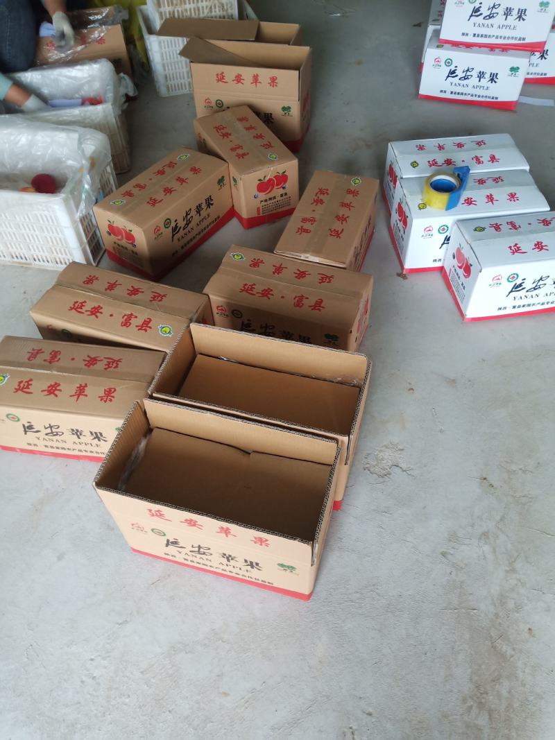 陕西延安优质红富士产地富县品牌供货商