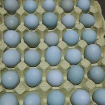 精品绿壳土鸡蛋360枚200一件