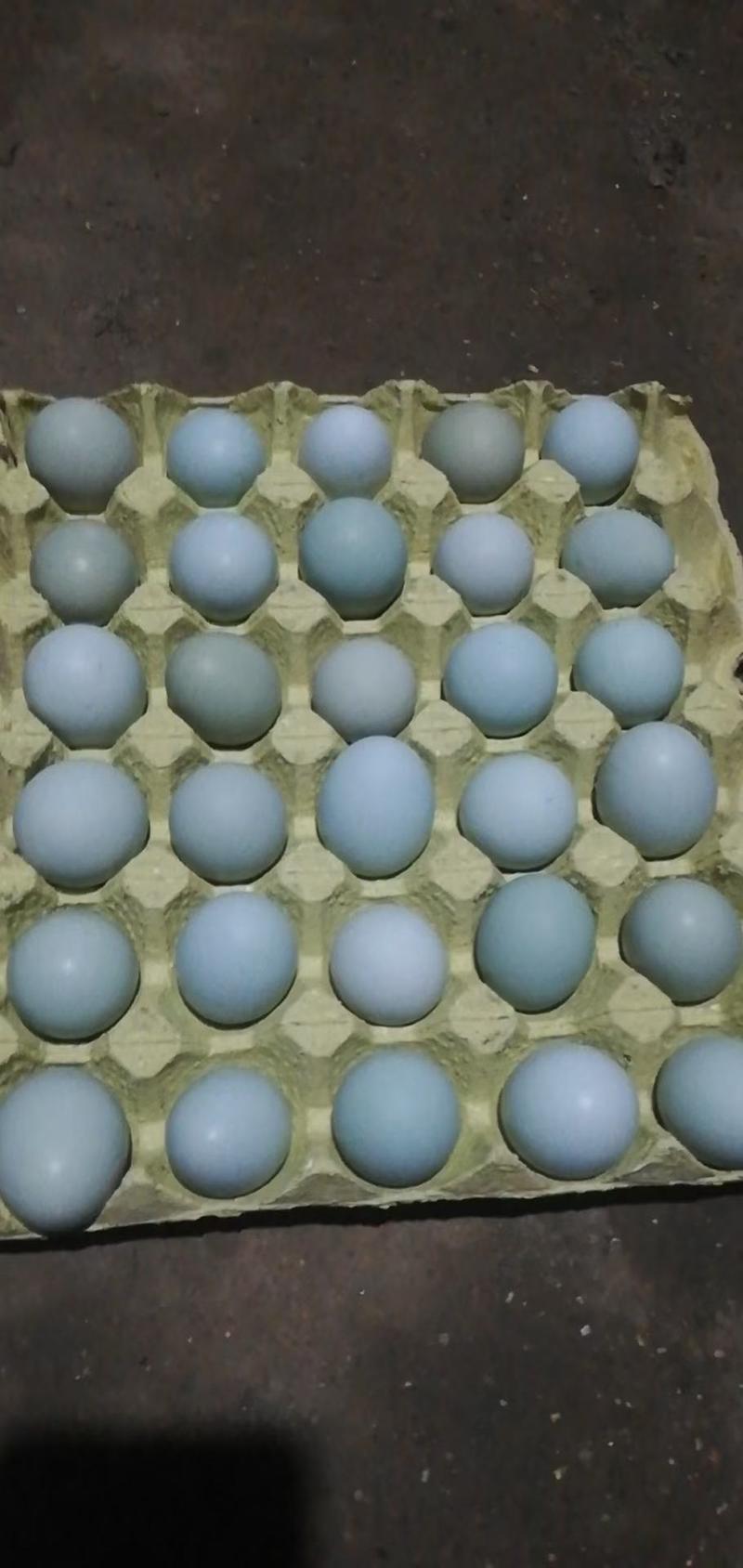精品绿壳土鸡蛋360枚200一件