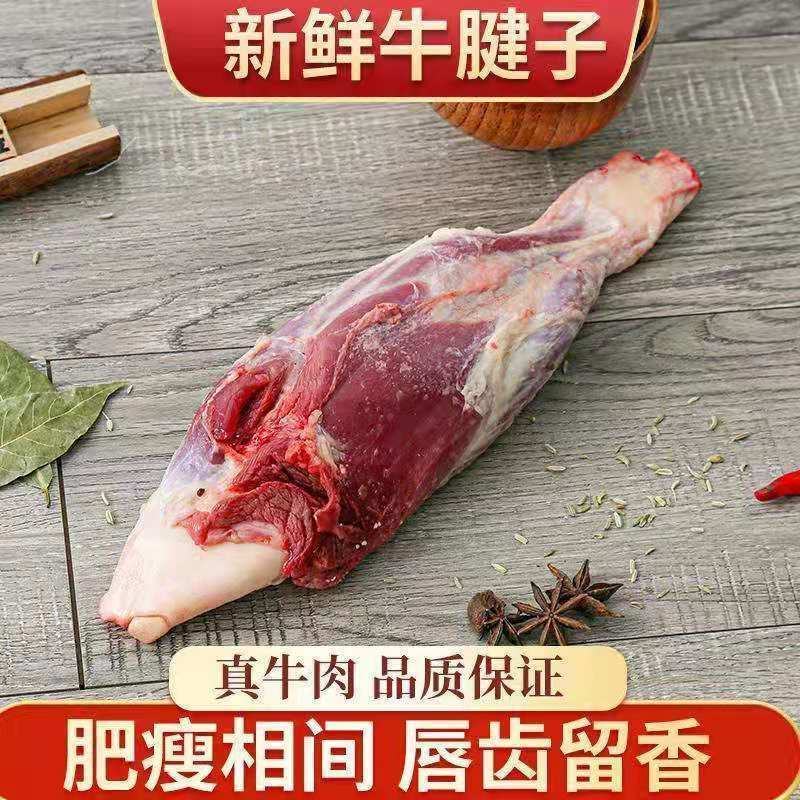【原切牛腱】批发新鲜牛腱子5斤牛肉食材正宗新鲜黄牛肉