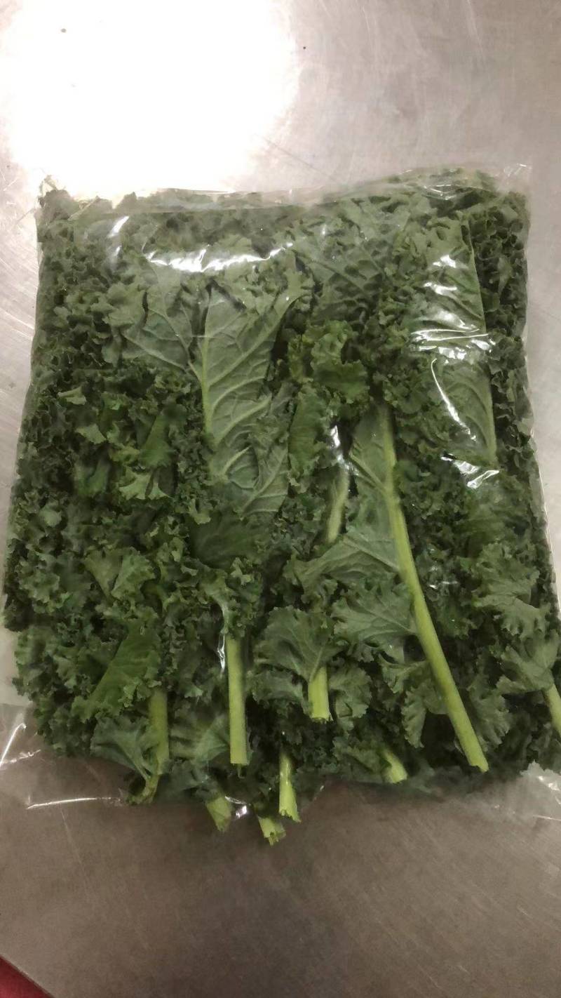 基地直供新鲜羽衣甘蓝，珊瑚菜