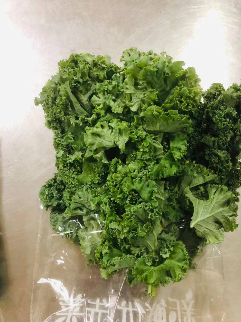 基地直供新鲜羽衣甘蓝，珊瑚菜