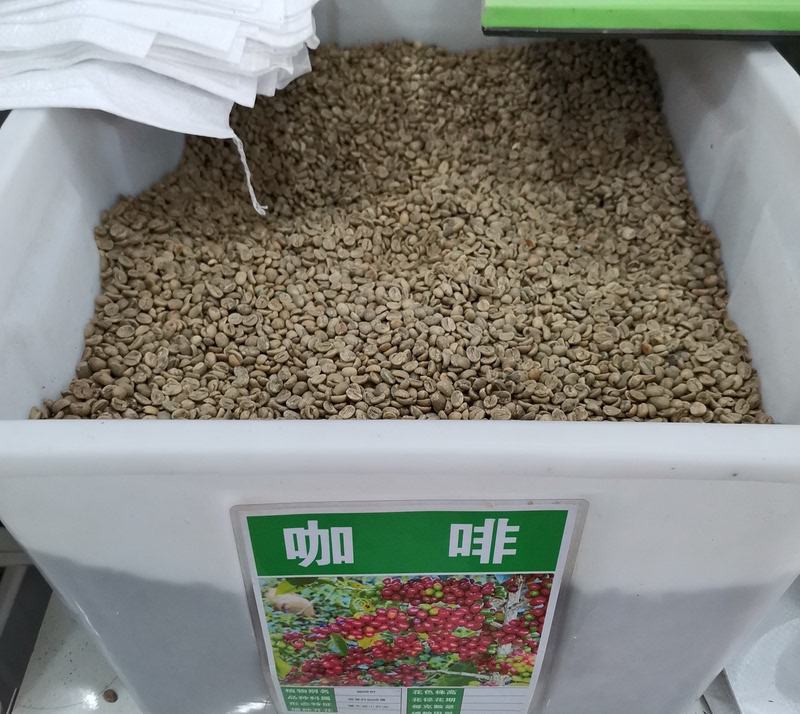 咖啡树种子林木种籽国产散装四季多年生景观绿化工程观叶种孑