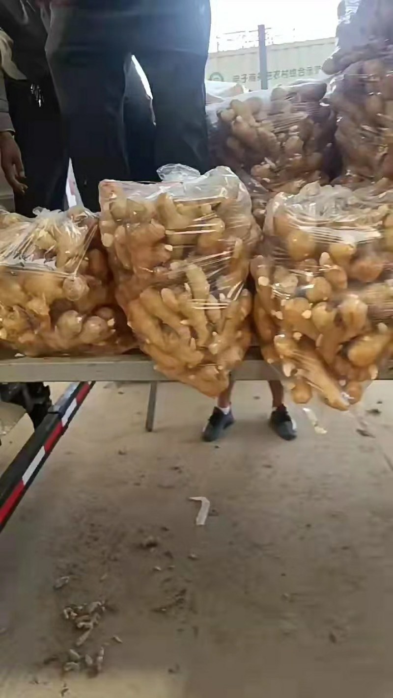 山东临沂大姜批发基地，货源充足产地直销价格优惠全国发货