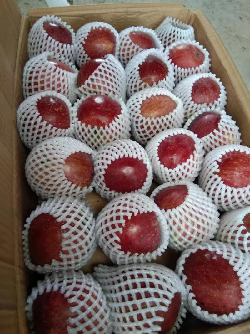 四川丑苹果，糖心率高，脆甜多汁，专业合作社销售