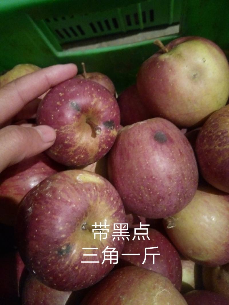 【火爆】正宗冰糖心红富士苹果，对接全国，出口，电商，社团