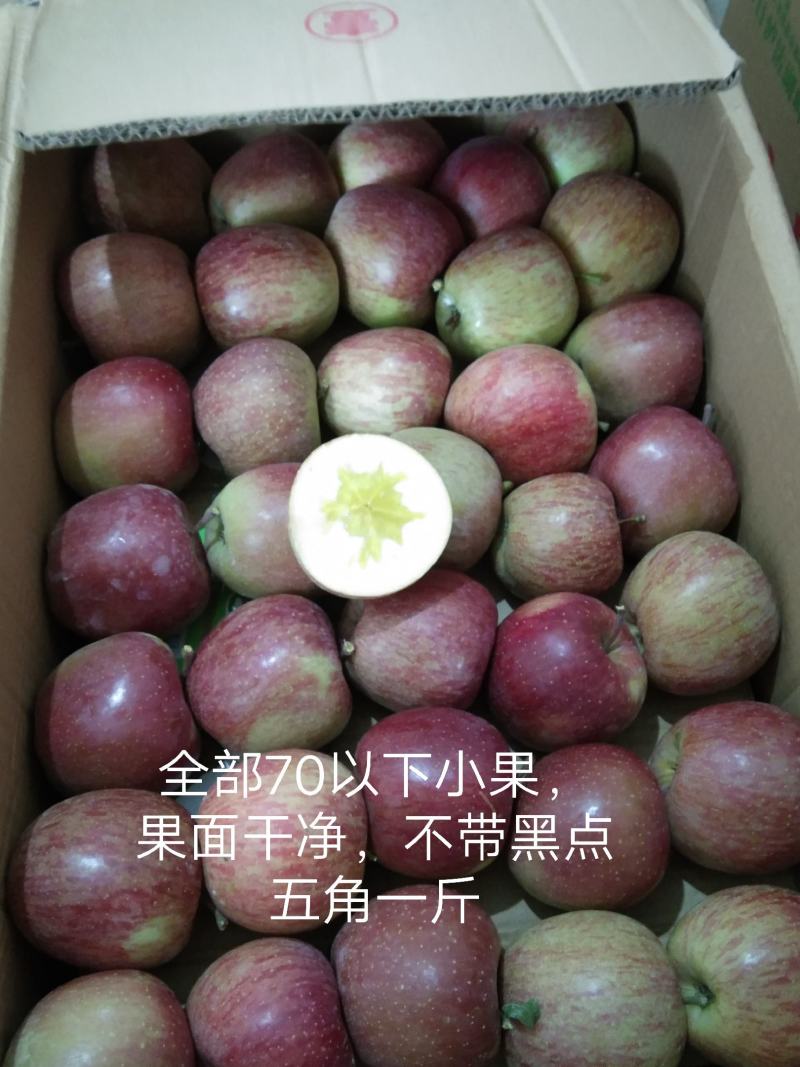 【火爆】正宗冰糖心红富士苹果，对接全国，出口，电商，社团