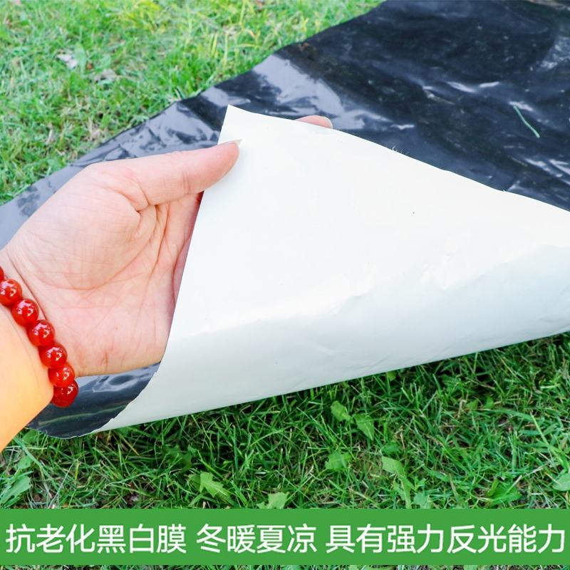 大棚膜透明加厚无滴膜抗老化农用塑料薄膜长寿地膜防水养殖黑