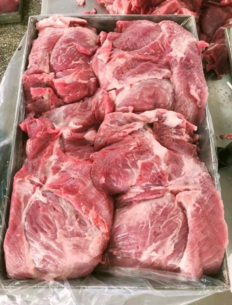 母猪大板4号肉山东新开