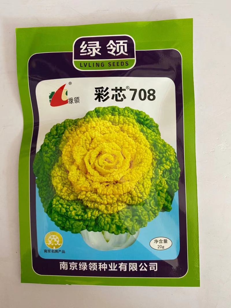 傲雪1号黄心乌菜种子矮脚耐寒品种种子