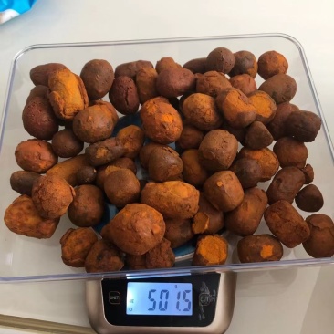 牛黄，桑黄