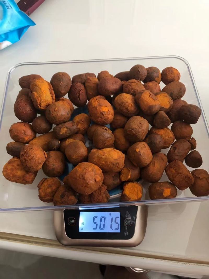 牛黄，桑黄