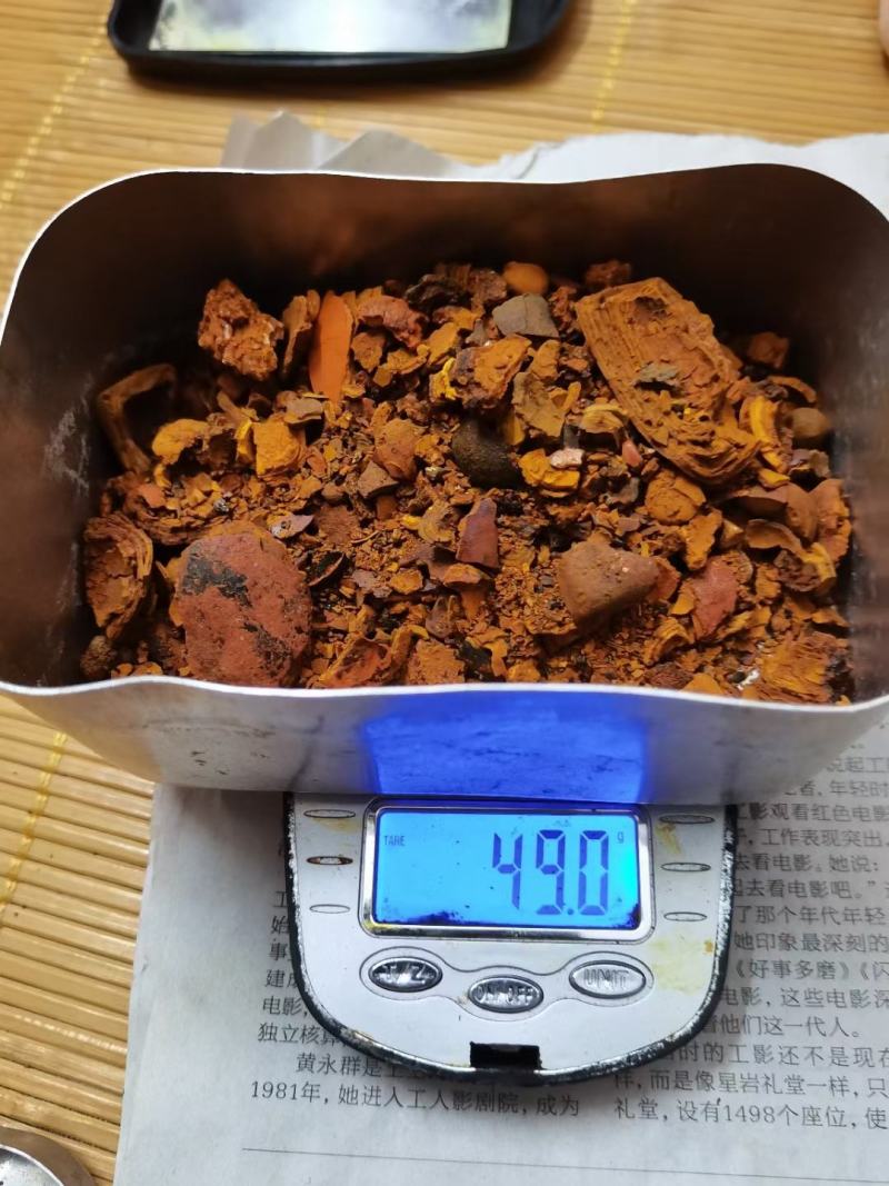 牛黄，桑黄