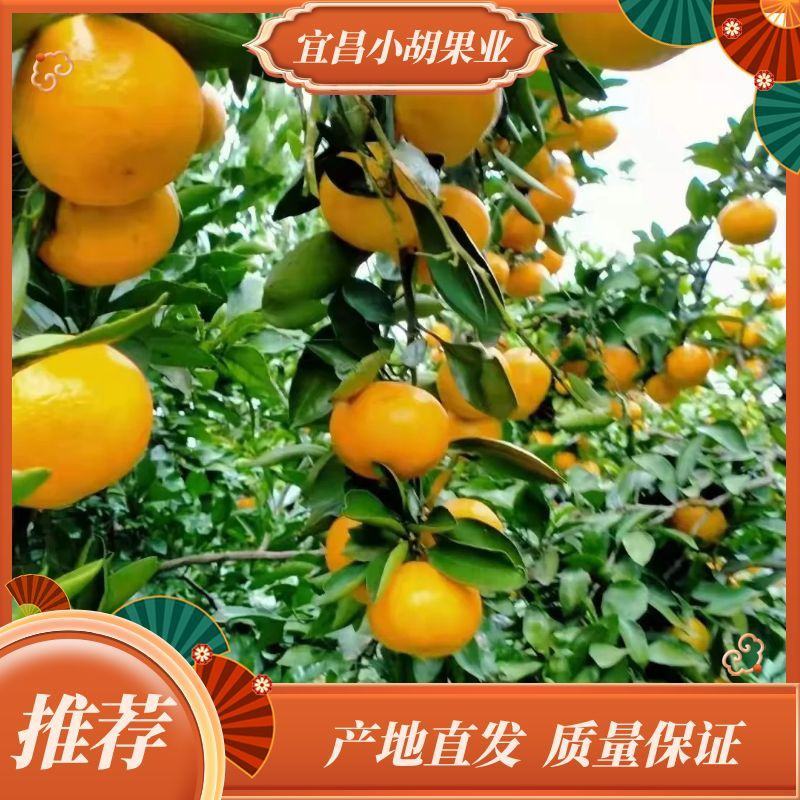 诚信接待每一位客户，是我的职责所在，品质有保障，货源充足